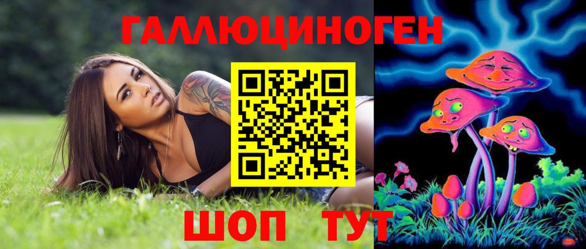 Псилоцибиновые грибы Psilocybe Набережные Челны